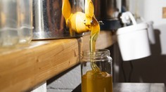 Spotrebiteľov klamú, na Slovensku sa predáva falošný med. Včelári radia, ako spoznáte ten pravý