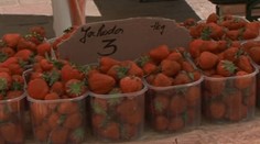 Jahody na kvalitný sex! Na čo všetko je dobré domáce ovocie