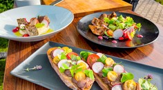 Vôňa lesa na tanieri. Vyskúšajte originálne recepty od šéfkuchára, ktoré rozvoňajú celý dom