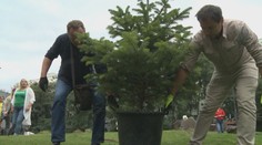 Štedrý darca chce v Košiciach chce vysadiť stovky tisíc stromov. Naráža však na problém