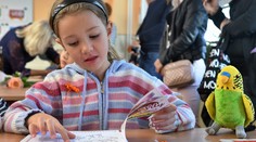 Ako pripraviť dieťa na školu? Účinná je tzv. Kaizen metóda