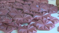 V Bratislave môžete ochutnať ružovú čokoládu i cvrčkov