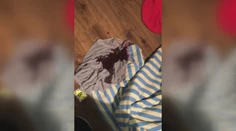 Postup polície v prípade besnenia Humenčana preveria. Napadnutí manželia sa sťažujú