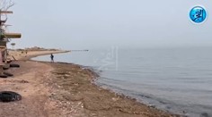 Ďalší krvavý útok žraloka v Egypte. Obrovský predátor pripravil ženu o ruku, v letovisku zatvorili všetky pláže