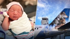 Žena predčasne porodila na toalete v lietadle. Pilot let odklonil