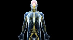 Na Slovensku sa čoraz častejšie vyskytuje choroba, ktorá robí z mladých invalidov