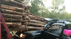 Šťastie v nešťastí: Vodičovi zničeného auta uviazla hlava presne medzi guľatinami