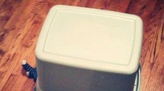 Rozkošná fotogaléria: Detskí majstri v skrývaní