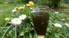 Zelený koktejl - súťaž/jarný detox