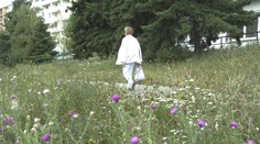 Zvuk kosačiek sa z miest vytráca. Kosí sa inak a menej, dôvodov je viacero