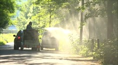 Komáre nám teraz poriadne znepríjemňujú život. Sú premnožené