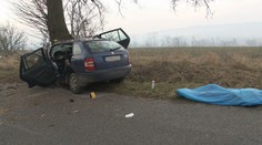 Nešťastný posledný február! Muž (†45) z neznámych príčin narazil do stromu