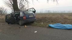 Nešťastný posledný február! Muž (†45) z neznámych príčin narazil do stromu