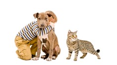 Potvrdené! Kto nás má radšej, mačky alebo psy?