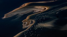 Na prvý pohľad očarí svojou krásou, no zo zvierat robí „múmie“. Jazero Natron pôsobí ako z iného sveta