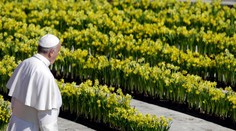 Pápež František vyhlásil celoeurópsku zbierku v kostoloch. Kam pôjdu peniaze?