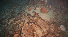 VIDEO: Na dne oceána pri Austrálii objavili obrovské zoskupenie žralokov. Vedci ich vyrušili zo spánku