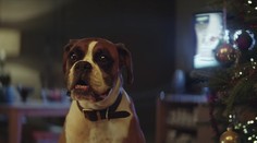 Najočakávanejšia vianočná reklama je tu. Dojatí z nej ale nebudete