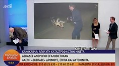 VIDEO: Gréckeho redaktora počas živého vstupu zastihla bizarná situácia. Moderátori išli do kolien