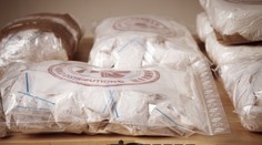 Medzi banánmi našli tri a pol tony kokaínu. Colníkom v Rotterdame sa podaril skvostný úlovok