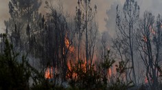 Hasiči zvádzajú náročný boj so stovkami lesných požiarov