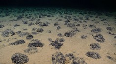 Vedci objavili na dne oceánu „temný kyslík“. Spochybňuje teóriu o vzniku života, ktorú poznáme z učebníc