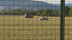 Ako na divokom západe: Muži na autách strieľali do diviakov kúsok od rodinných domov s deťmi