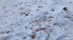 Brutálny útok zo žiarlivosti. V obci Cígeľ napadol muž soka v láske, takmer ho dobil na smrť