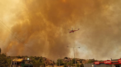 „Robíme, čo je v našich silách, ale situácia na Rodose prevyšuje naše možnosti a kompetencie,“ hovorí Nora Fedorová z CK Satur