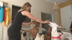 Tragédia v rodine motivovala podnikateľku Evu k pomoci iným. Založila psiu terapiu