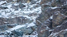 Nájdete na tejto fotografii leoparda snežného?