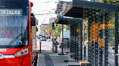 Incident pri internáte Družba. Párik najskôr napadol vodiča električky, keď prišli policajti, išli dole nohavice