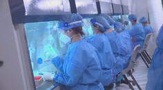 Covid nezmizol a naďalej zabíja. Najmä v Hongkongu, Nemecku a Rakúsku hlásia problémy