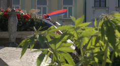 Pri pamätníku v Prešove pribudla nečakaná ozdoba. Potešila zrejme mladých