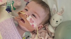 Doma by ju čakala smrť, prevoz do Ríma súd zakázal. Taliansko teraz udelilo ťažko chorému dievčatku občianstvo