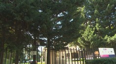 Ochrankára z Úradu vlády potrestali. Nezabránil útoku nožom, lebo súkromne telefonoval