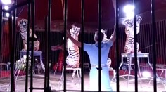 Svetoznámy krotiteľ doplatil na svojú vášeň. Počas prípravy na šou ho roztrhali tigre