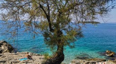 Kŕdle malých mušiek zamorili pobrežie Chorvátska