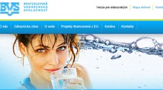 Kontrola v dcérskej spoločnosti BVS, preverujú neoprávnené podnikanie