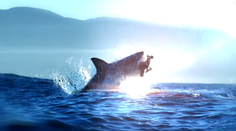 Najlepší olympionik sa pretekal so žralokom. Mala to byť dráma, no ľudia sú zmätení