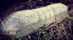 Dve deti (†11, †13) zomreli v obci pri Rimavskej Sobote. Vypili neznámu látku
