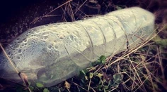 Dve deti (†11, †13) zomreli v obci pri Rimavskej Sobote. Vypili neznámu látku