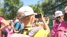 Letné tábory už nie sú to, čo bývalo. Deti zaujíma hlavne wi-fi