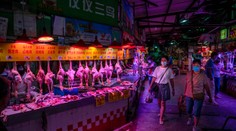 Vedci prišli s doteraz najsilnejším dôkazom o tom, že pandémiu koronavírusu spustilo zviera