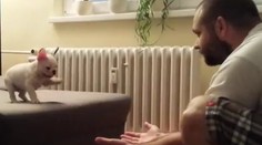 Slávna americká moderátorka zdieľala rozkošné video od Slováka!