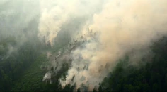 Globálna katastrofa zažehnaná. V Rusku sa podarilo uhasiť všetky lesné požiare