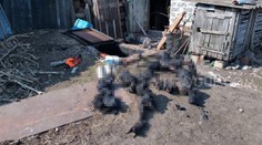 Ďalší dôkaz o vojnových zločinoch na Ukrajine: V Charkovskej oblasti upálili vojaci zaživa rodičov s dieťaťom