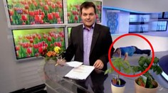 Maďarský televízny technik hitom internetu! Pozrite sa, čo vyviedol