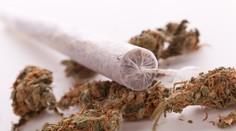 NRSR: Trestné sadzby za marihuanu pre vlastnú spotrebu sa majú znížiť