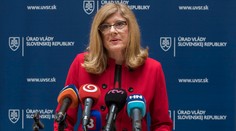 Matečná nevymenuje Huttu za šéfa Štátnych lesov TANAP-u